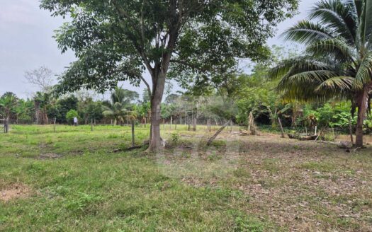 TERRENO EN VENTA EN RANCHERIA BUENA VISTA RIO NUEVO 3RA SECCION