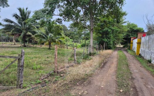 TERRENO EN VENTA EN RANCHERIA BUENA VISTA RIO NUEVO 3RA SECCION