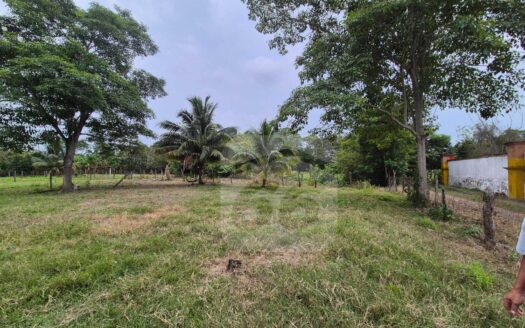 TERRENO EN VENTA EN RANCHERIA BUENA VISTA RIO NUEVO 3RA SECCION