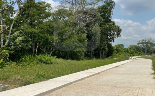 LOTES EN VENTAS FRACCIONAMIENTO SAUCO, VILLAHERMOSA, TABASCO