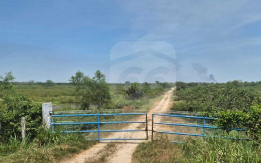 TERRENO EN VENTA EN RANCHERIA CUMUAPA 3RA SECCION, TABASCO