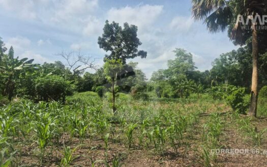 TERRENO EN VENTA EN RANCHERIA BOQUERON 4TA SECC.