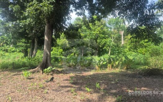 TERRENO EN VENTA EN RANCHERIA BOQUERON 4TA SECC.