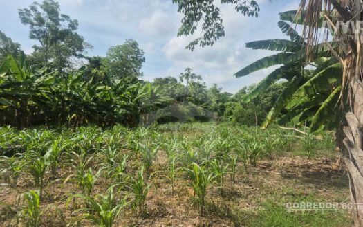 TERRENO EN VENTA EN RANCHERIA BOQUERON 4TA SECC.