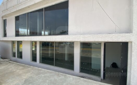 Local en Renta Pages Llergo y Ruiz Cortines