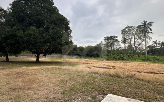 R84.- TERRENO EN VENTA RANCHERIA BUENA VISTA RIO NUEVO 1ra SECCION. CENTRO, TABASCO.