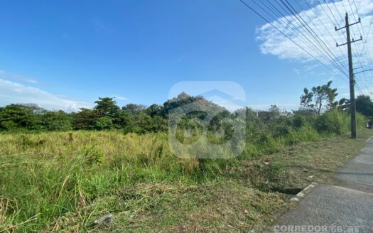 TERRENO EN VENTA CARR. VILLAHERMOSA A COATZACOALCOS DEL MUNICIPIO DE CARNENAS.