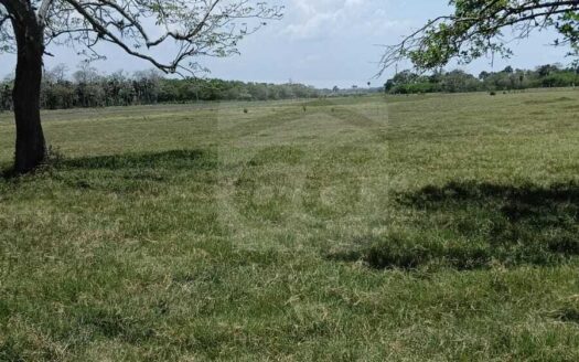 RANCHO EN VENTA – EJIDO SAN FRANCISCO, PARAISO, TABASCO