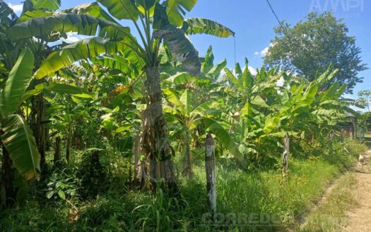 TERRENO EN VENTA – RÍA. BUENAVISTA RIO NUEVO 4TA SECCION