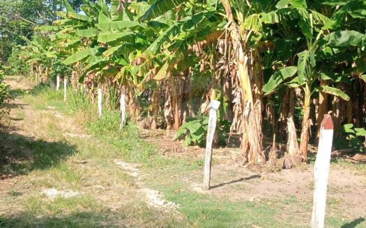 TERRENO EN VENTA – RÍA. BUENAVISTA RIO NUEVO 4TA SECCION