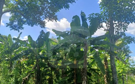 TERRENO EN VENTA – RÍA. BUENAVISTA RIO NUEVO 4TA SECCION