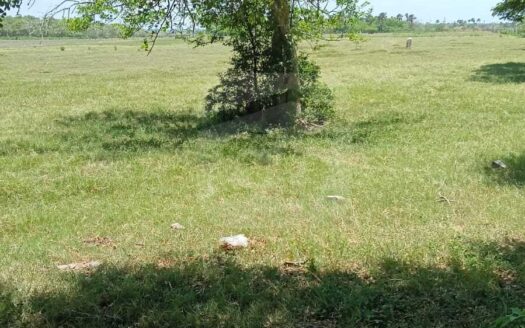 RANCHO EN VENTA – EJIDO SAN FRANCISCO, PARAISO, TABASCO