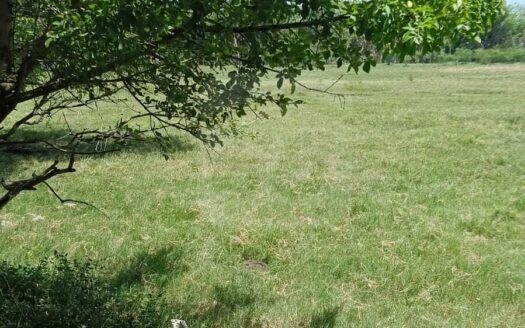 RANCHO EN VENTA – EJIDO SAN FRANCISCO, PARAISO, TABASCO