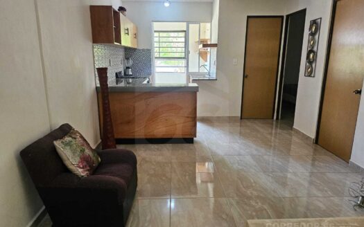 DEPARTAMENTO EN RENTA FRACCIONAMIENTO LAGUNA II