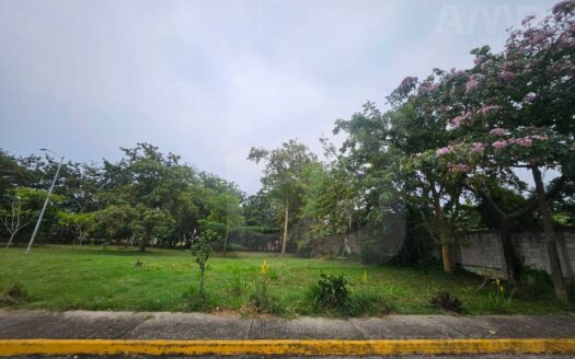 TERRENO EN VENTA  FRACCIONAMIENTO REAL DEL SUR