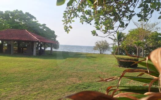 MACROTERRENO EN RENTA – CANGREJÓPOLIS. PARAISO, TABASCO