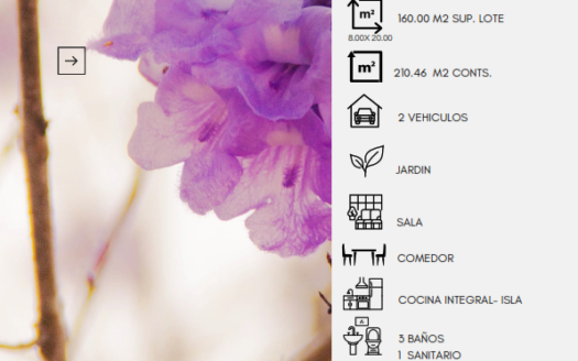 F384.- CASA EN VENTA MODELO JACARANDA | LOTE 103
