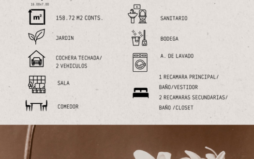 F384.- CASA EN VENTA MODELO NARDO | LOTE 80