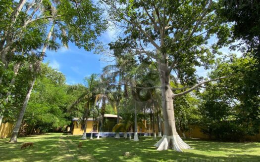 QUINTA EN VENTA – QUINTA GONZALEZ, RÍA. GONZALEZ 2DA SECC.